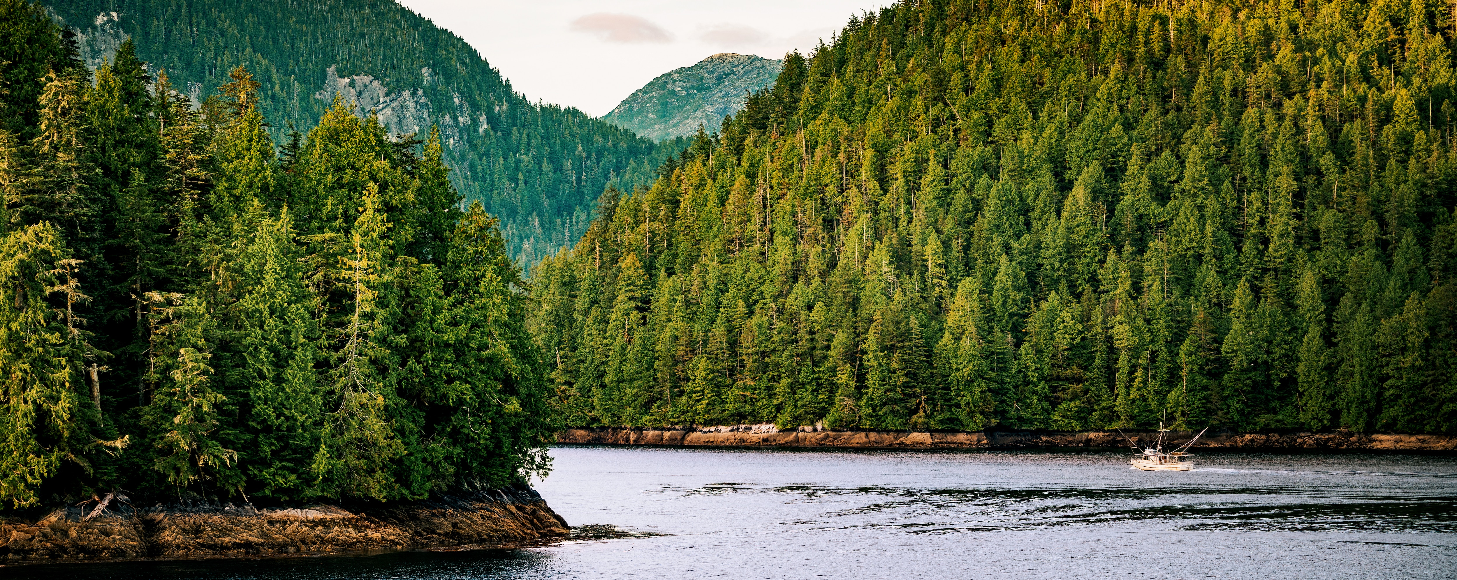 A serene wilderness scene featuring a calm body of water surrounded by dense evergreen forests. A small fishing boat drifts on the water. In the background, rugged mountains rise above the treetops, partially covered by soft clouds.