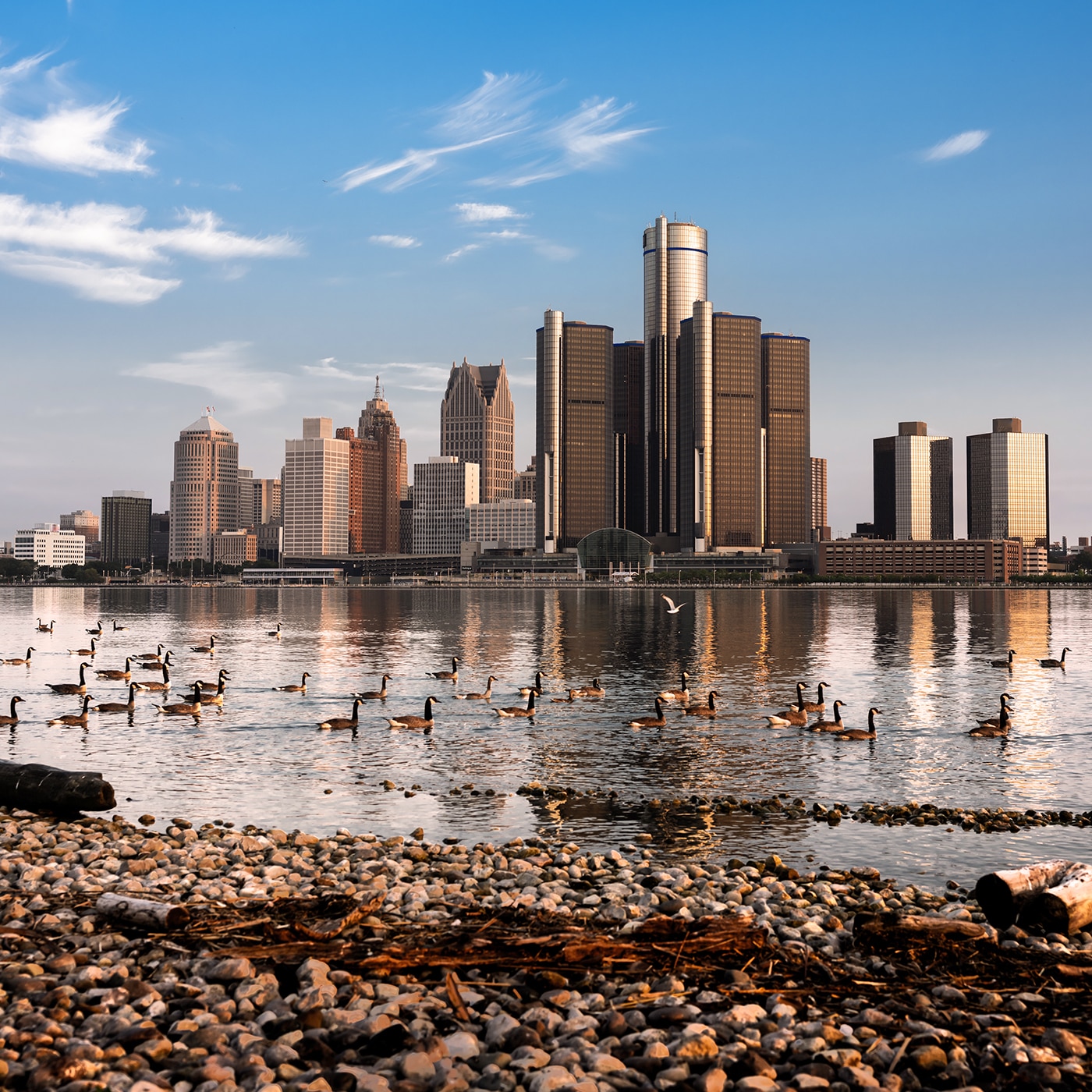 A scenic view of the Detroit skyline is seen across the river, with the Renaissance Center towering over the city. In the foreground, a rocky shoreline with driftwood and a group of Canadian geese floating on the water adds a natural element to the urban backdrop. The calm river reflects the buildings under a bright blue sky with wispy clouds.