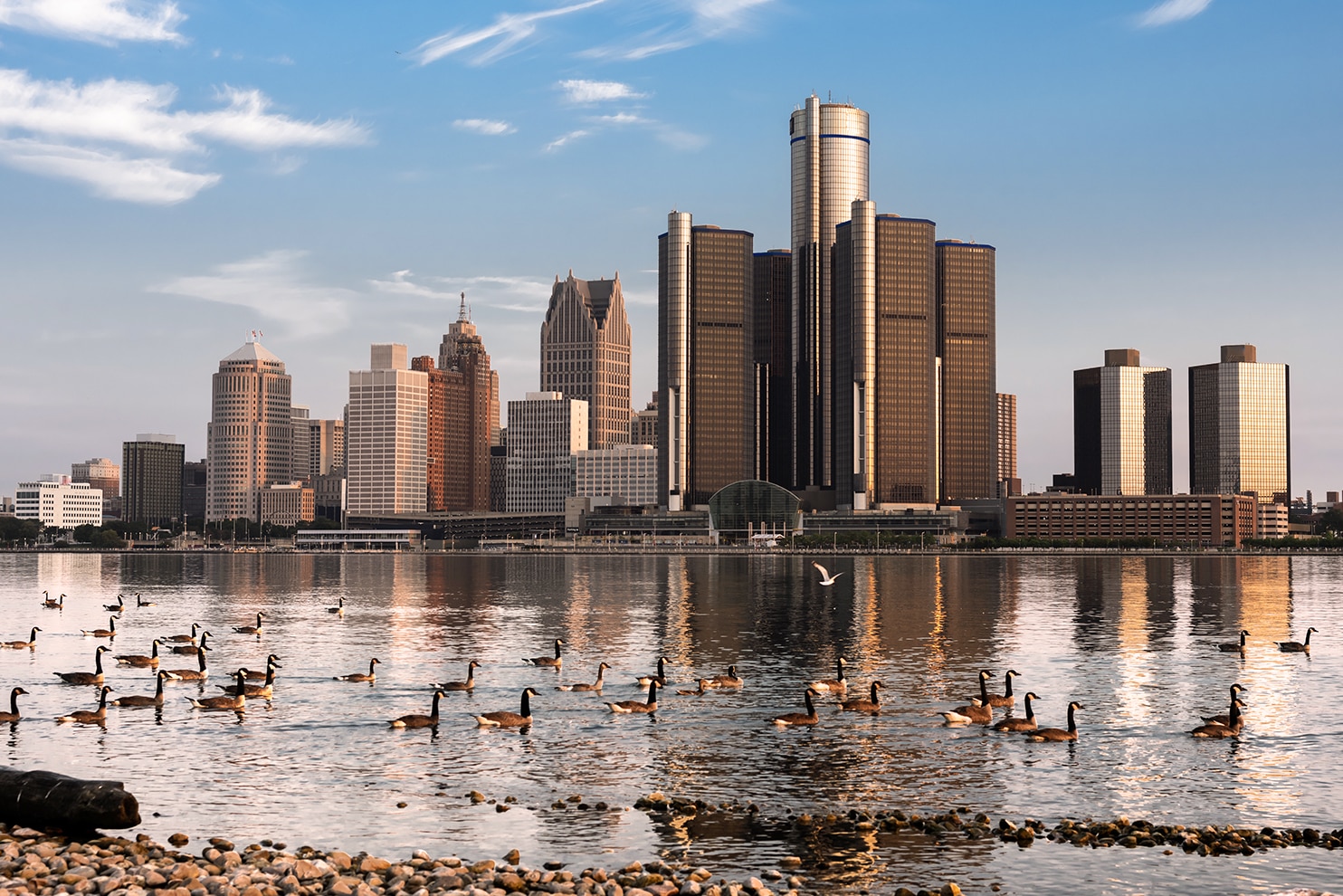 A scenic view of the Detroit skyline is seen across the river, with the Renaissance Center towering over the city. In the foreground, a rocky shoreline with driftwood and a group of Canadian geese floating on the water adds a natural element to the urban backdrop. The calm river reflects the buildings under a bright blue sky with wispy clouds.