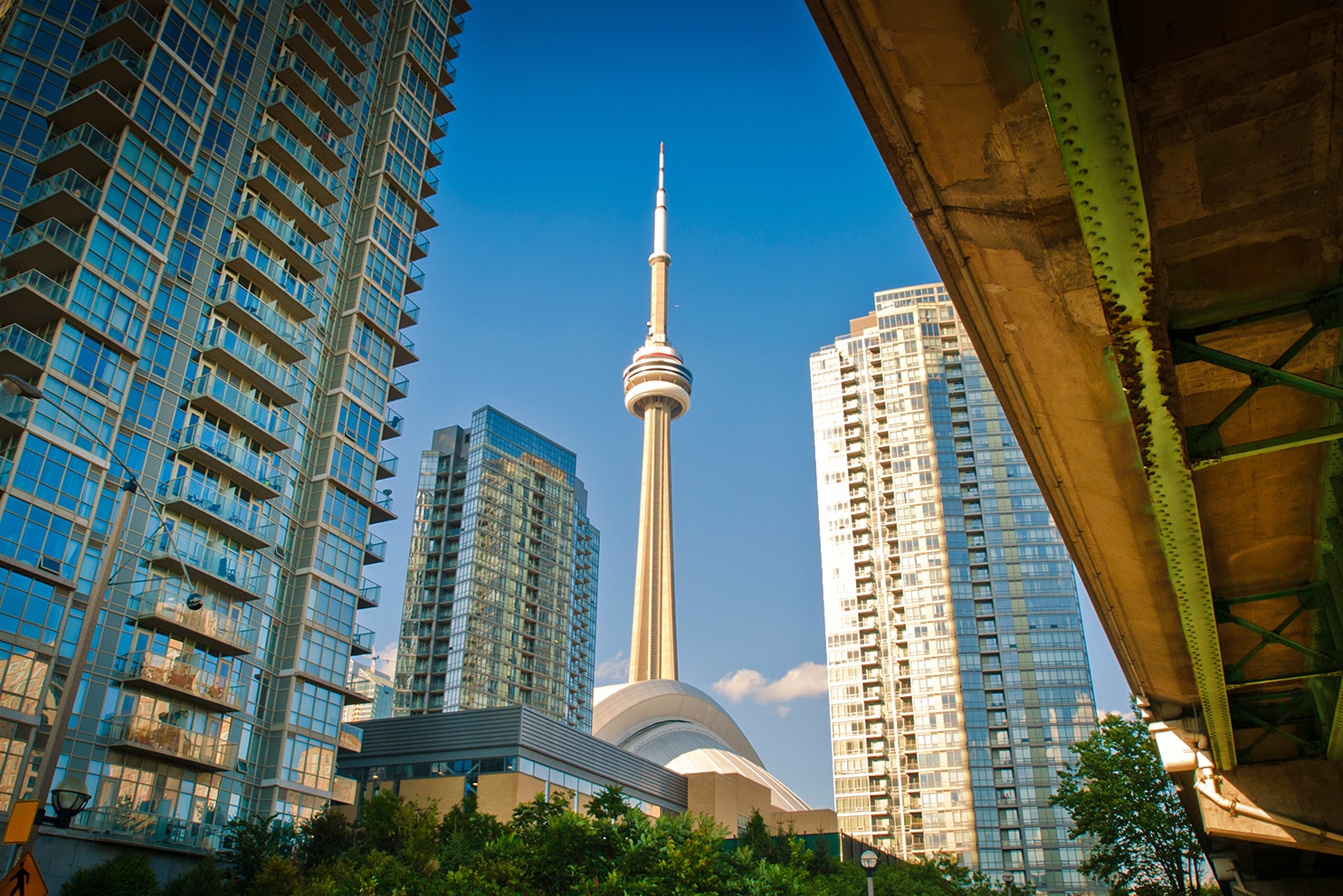 A striking view of the CN Tower in Toronto, Canada, framed by modern glass skyscrapers and an elevated roadway. The tower's height is against a clear blue sky, with reflections on the surrounding buildings.