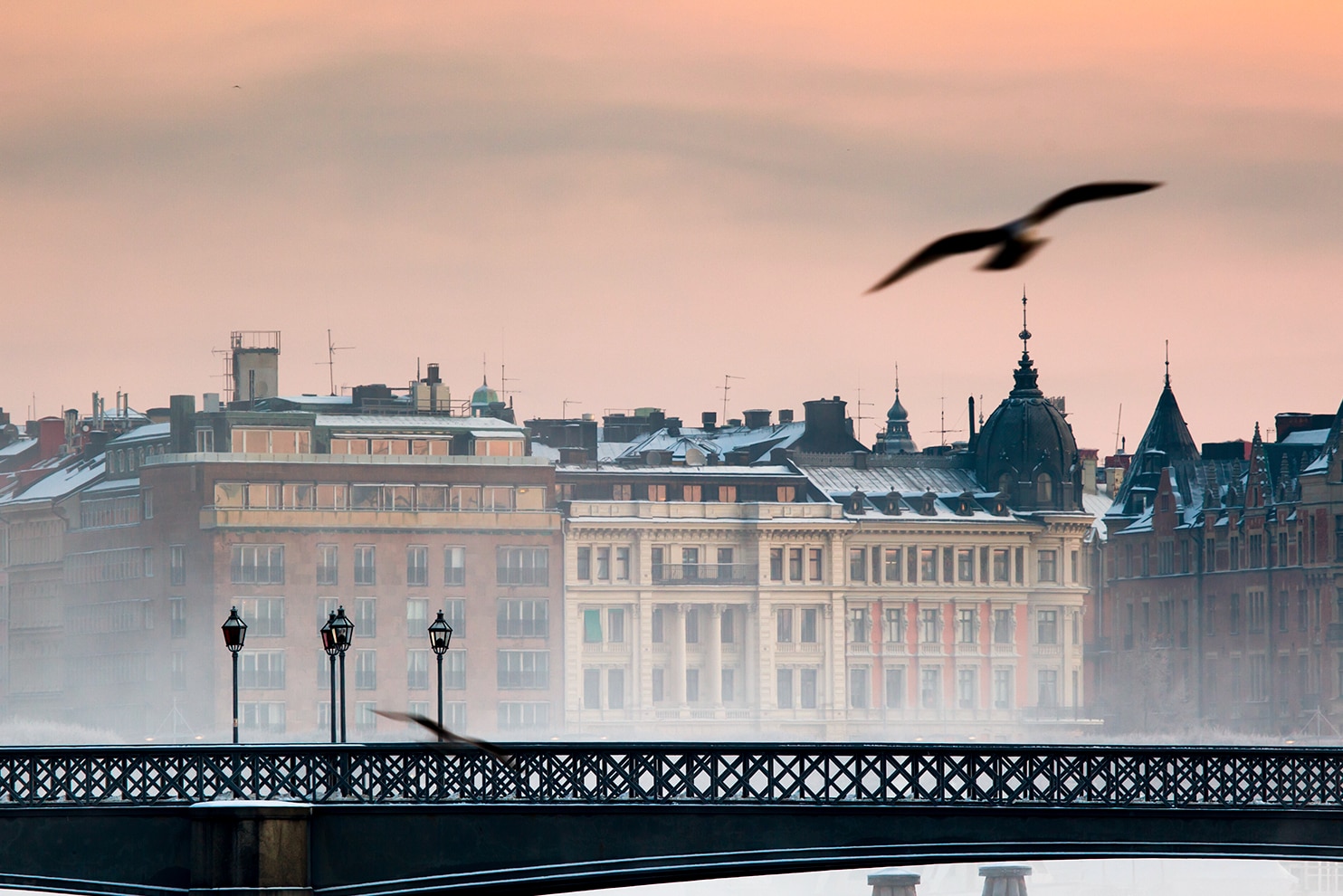 Misty view of Stockholm buildings at sunrise with a seagull flying over a bridge in the foreground.