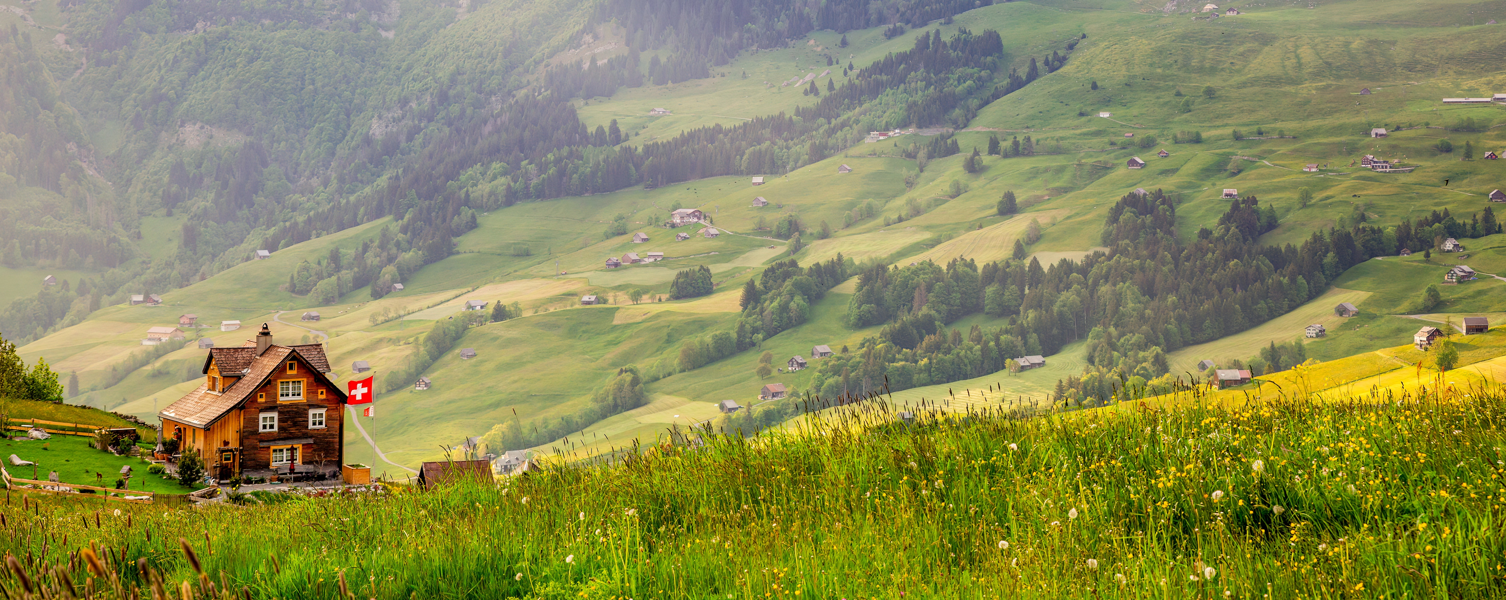 Peaceful mountain landscape with a Swiss chalet and flag in a green alpine valley.