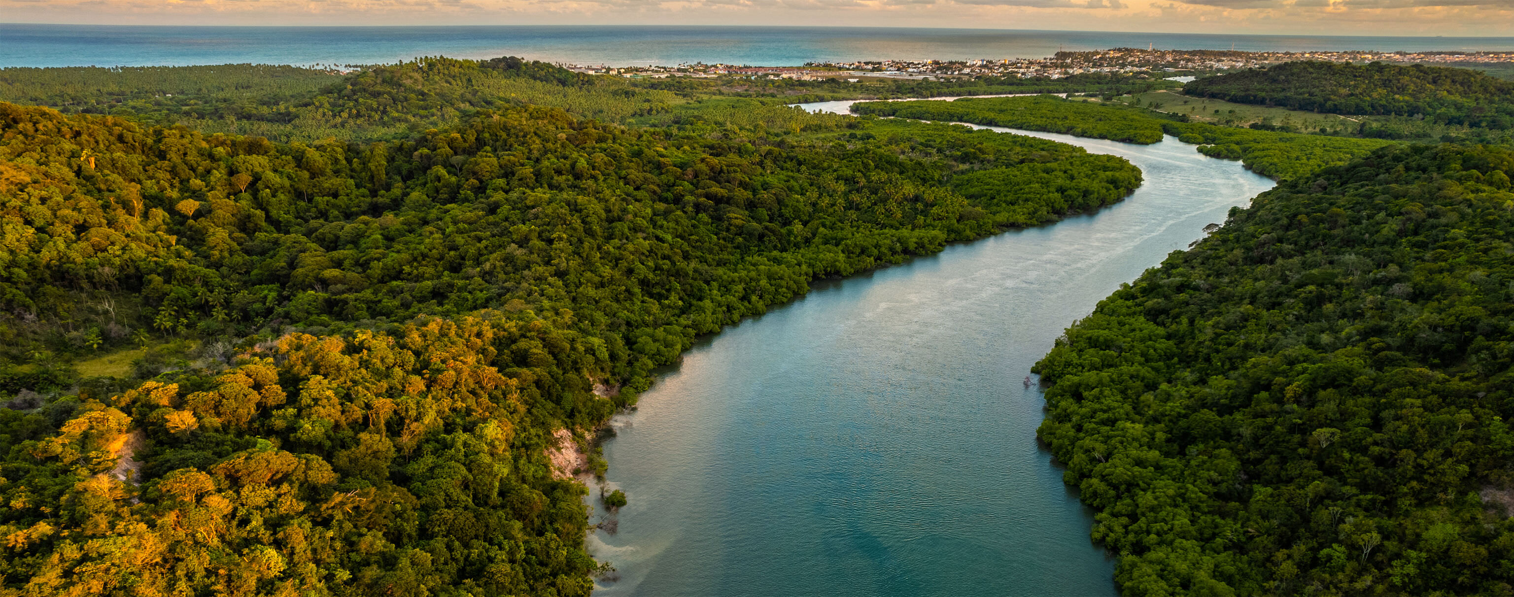 An aerial view of a winding river cutting through a lush, green tropical forest. The dense foliage extends toward the horizon, where a coastal town and the ocean are visible. The sky is adorned with scattered clouds.