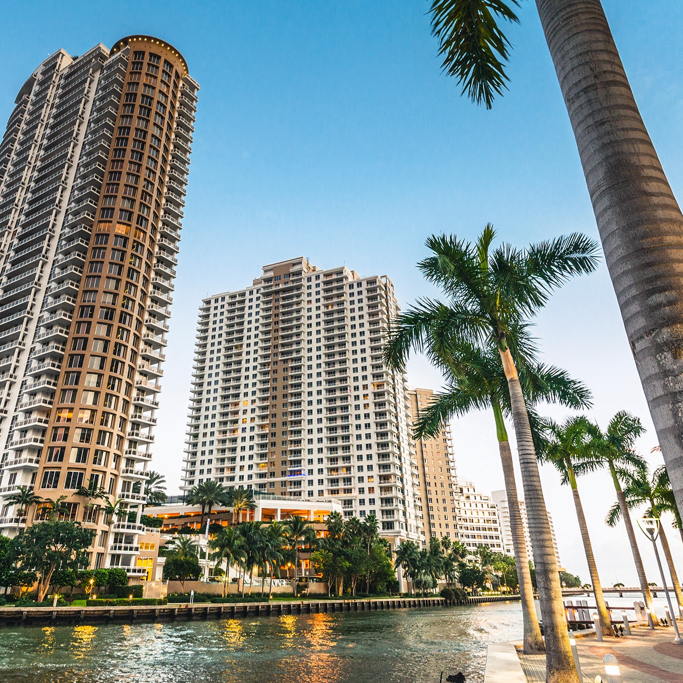 A scenic view of modern high-rise buildings along a waterfront lined with tall palm trees. The clear blue sky and shimmering water reflect the tropical ambiance of the urban landscape