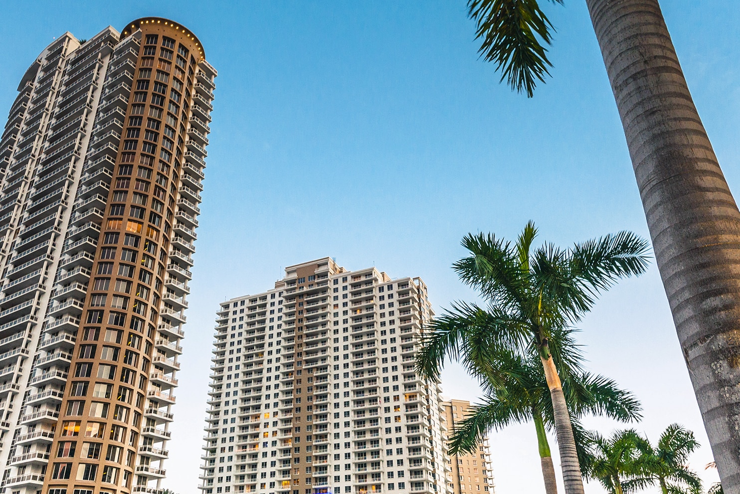 A scenic view of modern high-rise buildings along a waterfront lined with tall palm trees. The clear blue sky and shimmering water reflect the tropical ambiance of the urban landscape