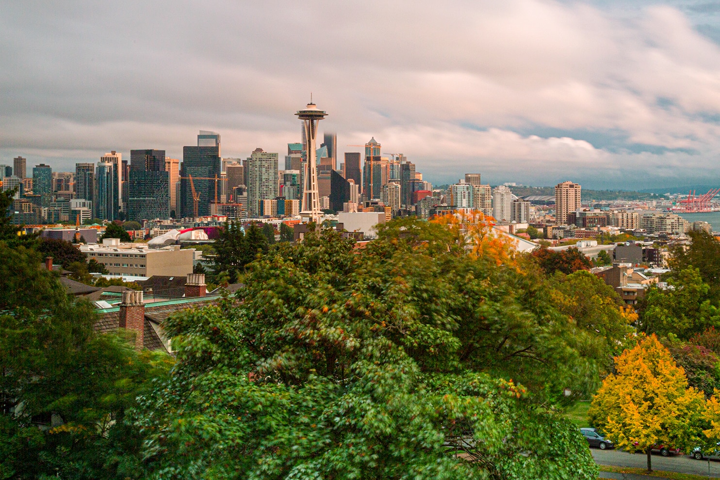 A cityscape of Seattle featuring the Space Needle standing among modern skyscrapers. The view is framed by lush green trees in the foreground, with a dramatic cloudy sky above. The city's urban landscape extends into the distance, with glimpses of waterfront areas and distant hills