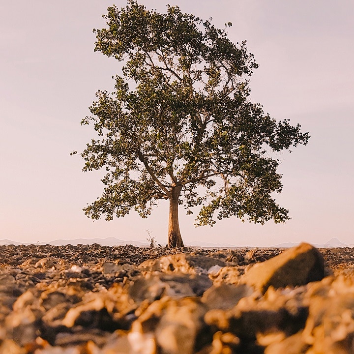 Cartoon-style semi-truck with an American flag design leads a convoy of trucks with other recognisable flags on an open road