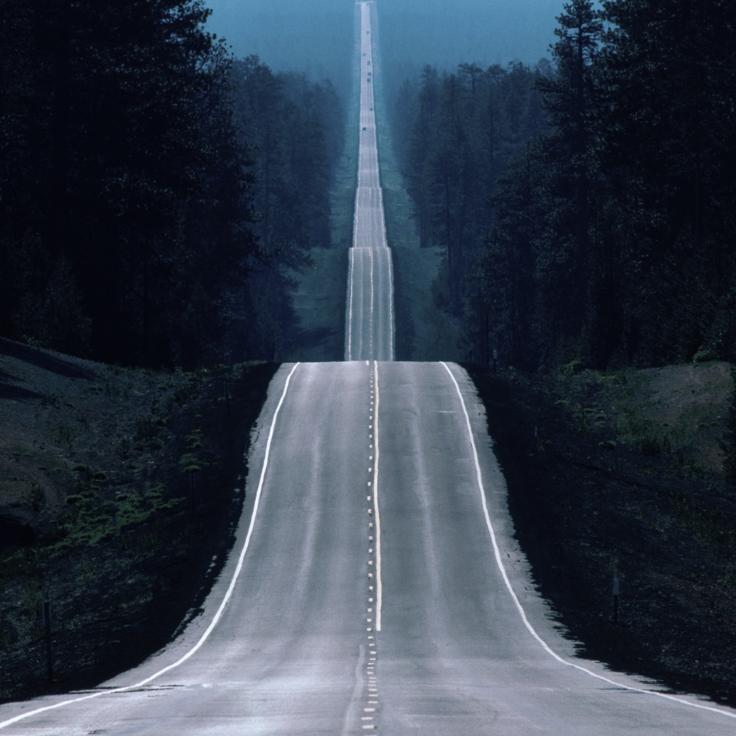 A hilly road extends forward, surrounded on either side by a forest, with distant cars visible.