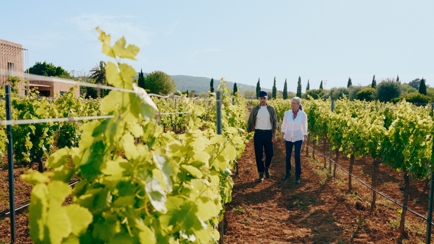 A man and a woman walk through a vineyard during the day, surrounded by green grapevines. A wooded mountain is visible in the background.