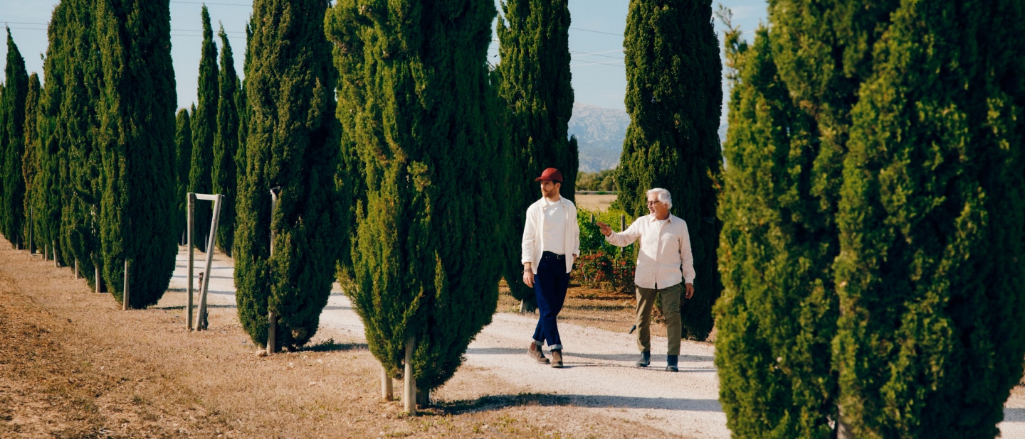 Two people walk along a tree-lined path, engaged in conversation. Tall, green cypress trees surround them, with a clear sky and distant mountains in the background