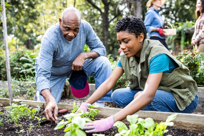 An older man and a young woman tending to plants in a community garden, surrounded by greenery.