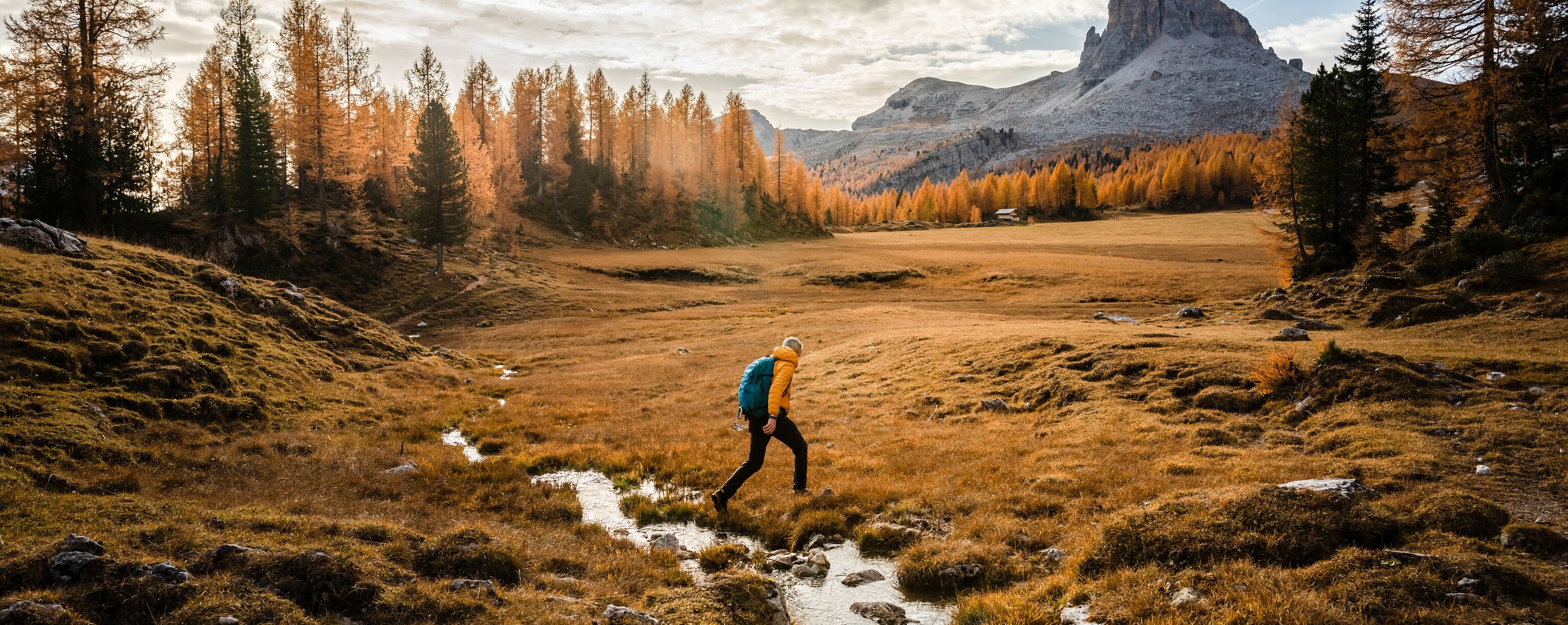 A hiker wearing a yellow jacket and a blue backpack walks through a golden autumn landscape with a small stream, surrounded by tall trees and a towering mountain peak in the background under a partly cloudy sky